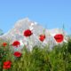 Gran Sasso